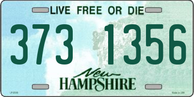 NH license plate 3731356