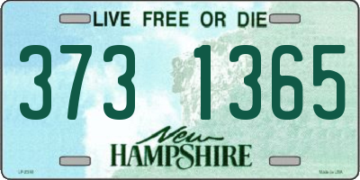 NH license plate 3731365