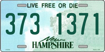 NH license plate 3731371