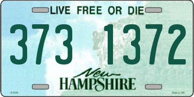 NH license plate 3731372