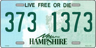 NH license plate 3731373