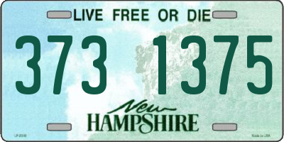 NH license plate 3731375