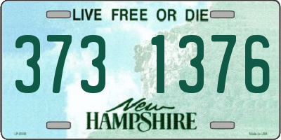 NH license plate 3731376
