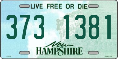 NH license plate 3731381