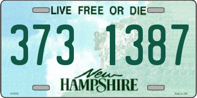 NH license plate 3731387