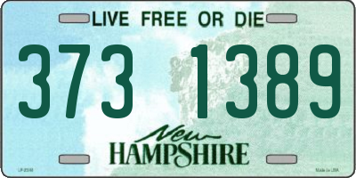 NH license plate 3731389