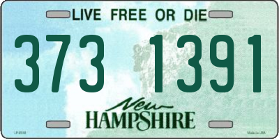 NH license plate 3731391
