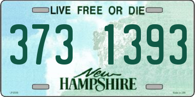NH license plate 3731393
