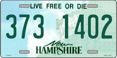 NH license plate 3731402