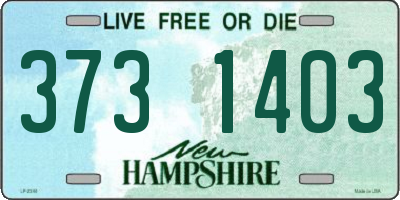 NH license plate 3731403
