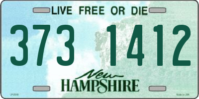 NH license plate 3731412