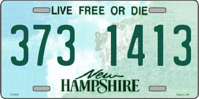 NH license plate 3731413