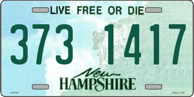 NH license plate 3731417