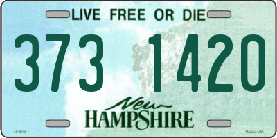 NH license plate 3731420