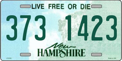 NH license plate 3731423