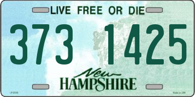 NH license plate 3731425
