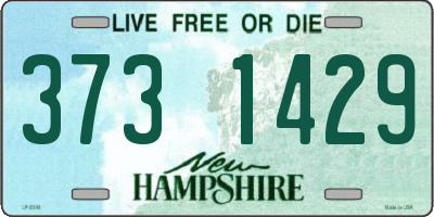 NH license plate 3731429