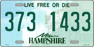 NH license plate 3731433