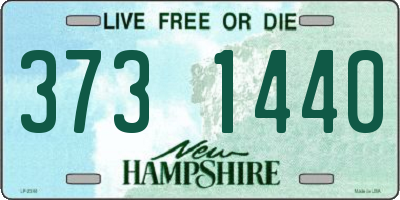 NH license plate 3731440