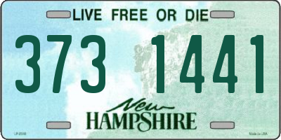 NH license plate 3731441