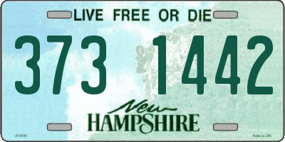 NH license plate 3731442