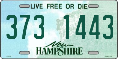 NH license plate 3731443