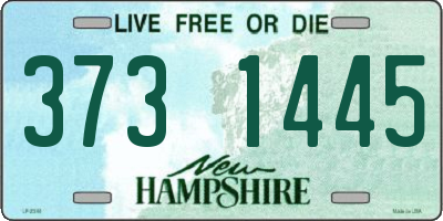 NH license plate 3731445