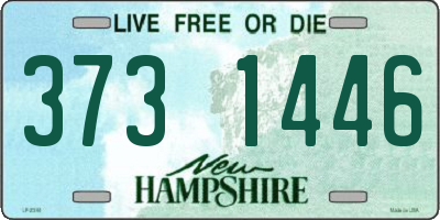 NH license plate 3731446