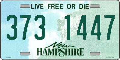 NH license plate 3731447