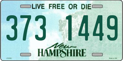 NH license plate 3731449
