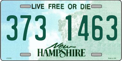 NH license plate 3731463