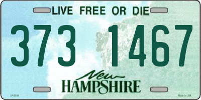 NH license plate 3731467