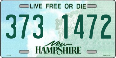 NH license plate 3731472