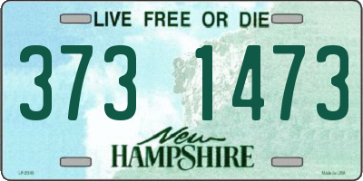 NH license plate 3731473