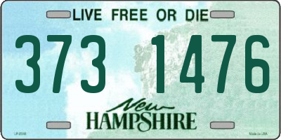NH license plate 3731476
