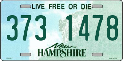 NH license plate 3731478