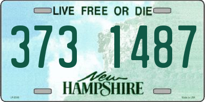 NH license plate 3731487