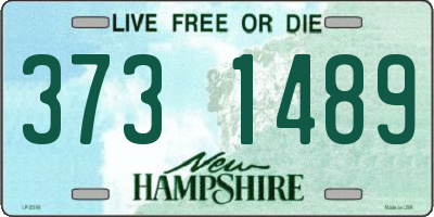 NH license plate 3731489