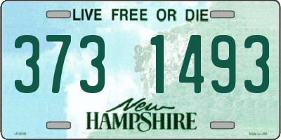 NH license plate 3731493