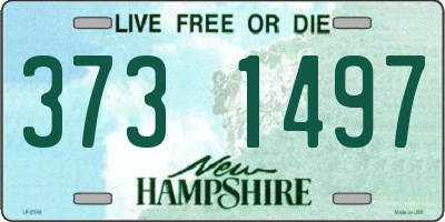 NH license plate 3731497