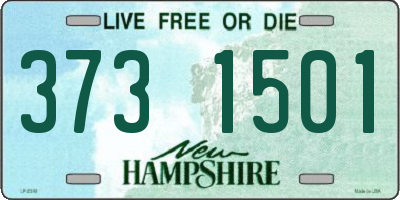 NH license plate 3731501