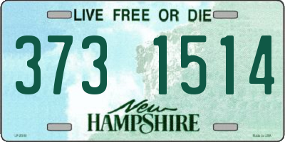 NH license plate 3731514