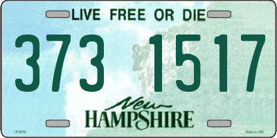 NH license plate 3731517