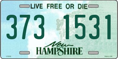 NH license plate 3731531
