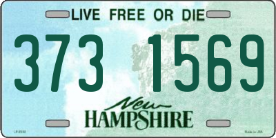NH license plate 3731569