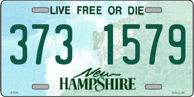 NH license plate 3731579