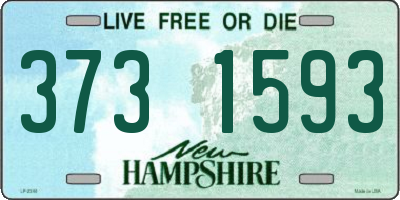 NH license plate 3731593