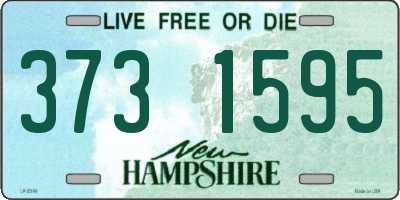 NH license plate 3731595