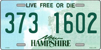 NH license plate 3731602