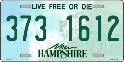NH license plate 3731612